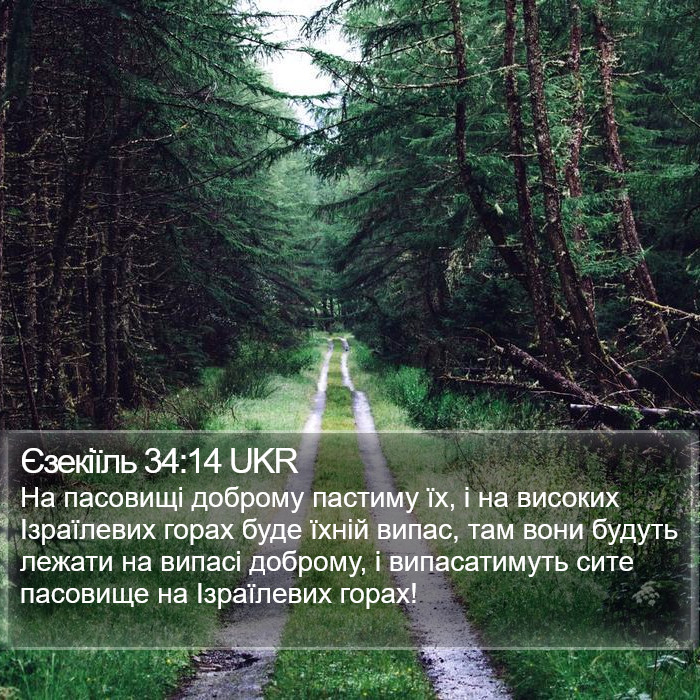 Єзекіїль 34:14 UKR Bible Study