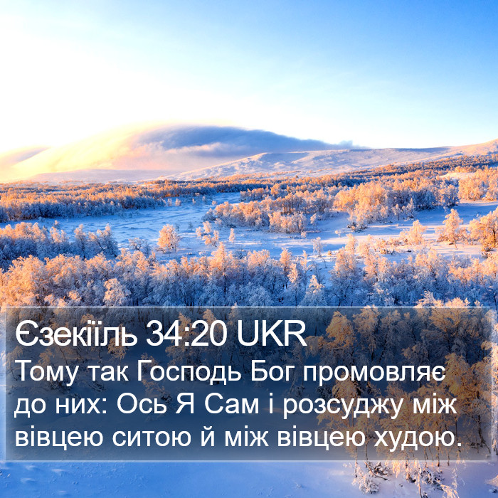 Єзекіїль 34:20 UKR Bible Study