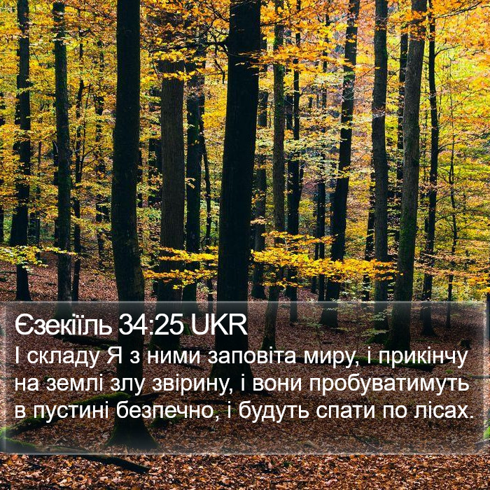 Єзекіїль 34:25 UKR Bible Study