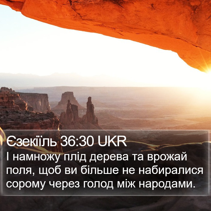 Єзекіїль 36:30 UKR Bible Study