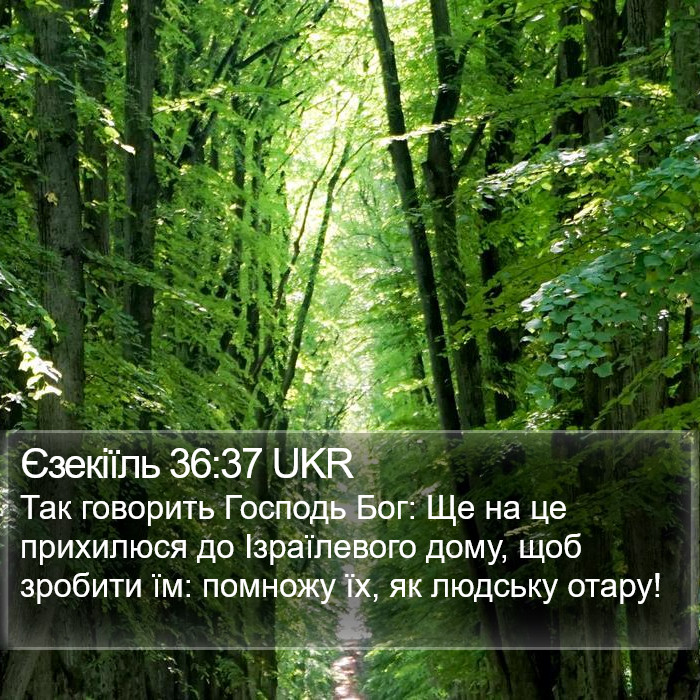 Єзекіїль 36:37 UKR Bible Study