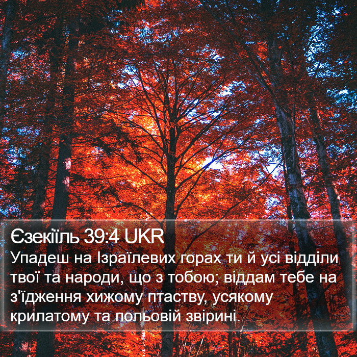 Єзекіїль 39:4 UKR Bible Study