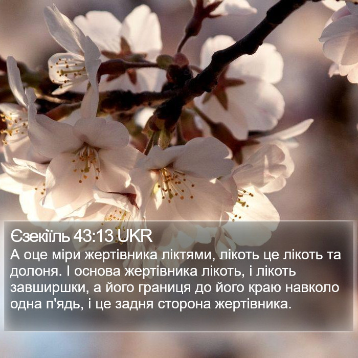 Єзекіїль 43:13 UKR Bible Study