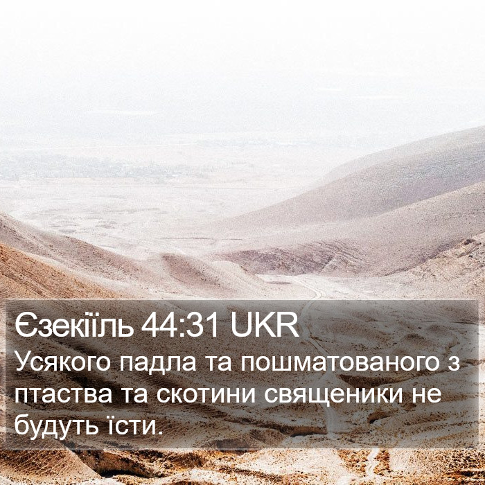 Єзекіїль 44:31 UKR Bible Study