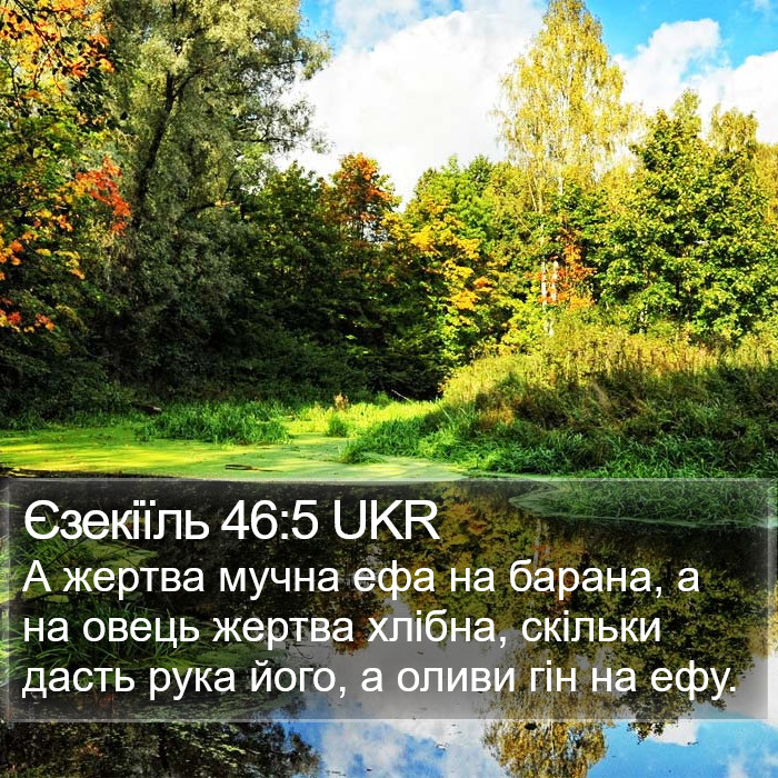 Єзекіїль 46:5 UKR Bible Study