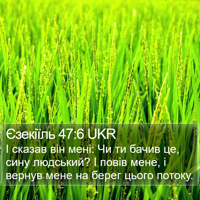 Єзекіїль 47:6 UKR Bible Study