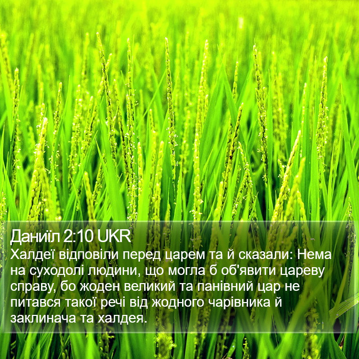 Даниїл 2:10 UKR Bible Study