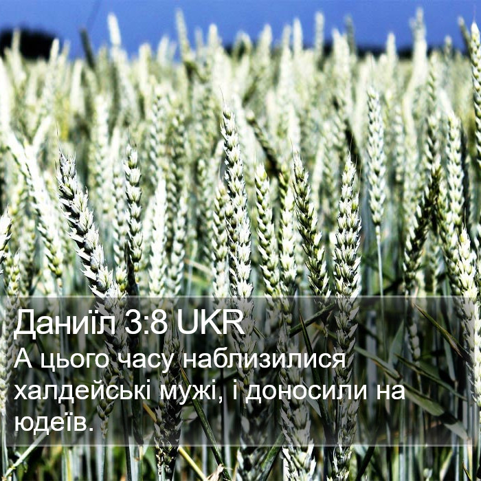 Даниїл 3:8 UKR Bible Study