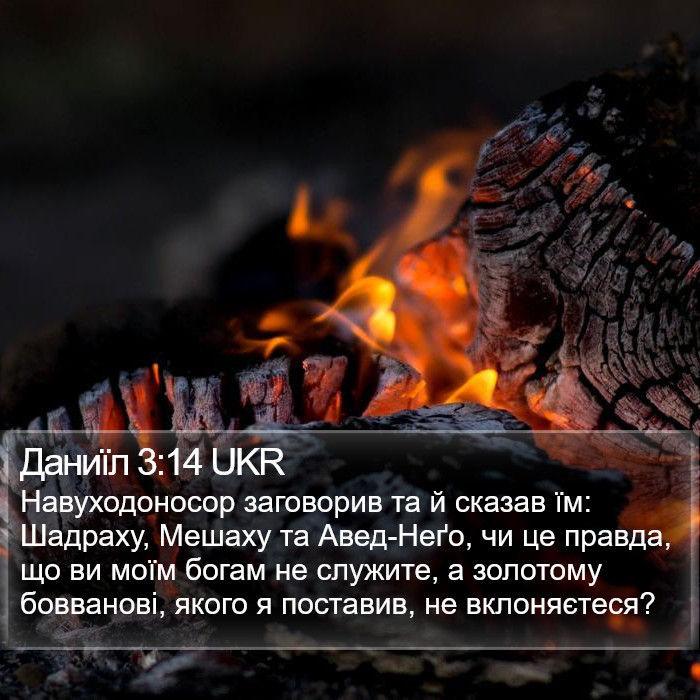 Даниїл 3:14 UKR Bible Study