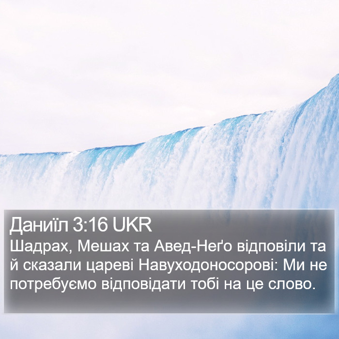 Даниїл 3:16 UKR Bible Study