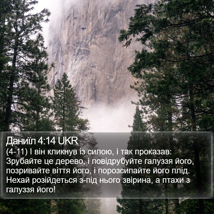 Даниїл 4:14 UKR Bible Study