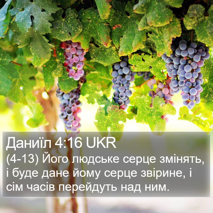 Даниїл 4:16 UKR Bible Study