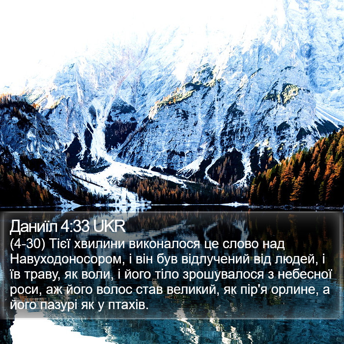 Даниїл 4:33 UKR Bible Study