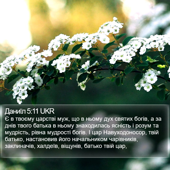 Даниїл 5:11 UKR Bible Study