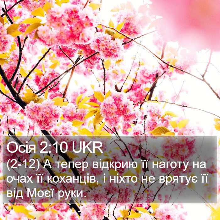 Осія 2:10 UKR Bible Study
