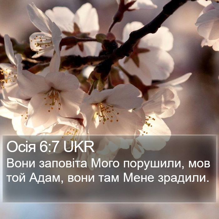 Осія 6:7 UKR Bible Study