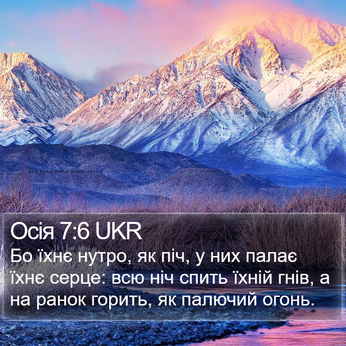 Осія 7:6 UKR Bible Study