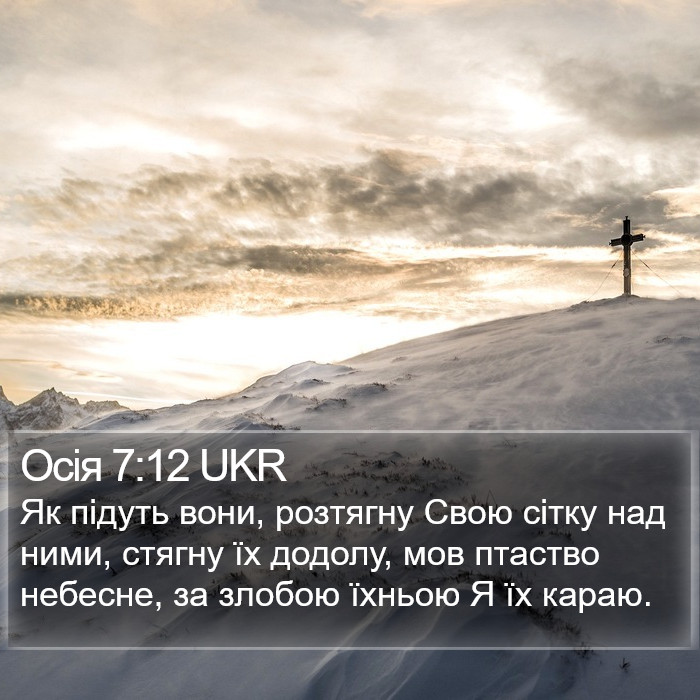 Осія 7:12 UKR Bible Study