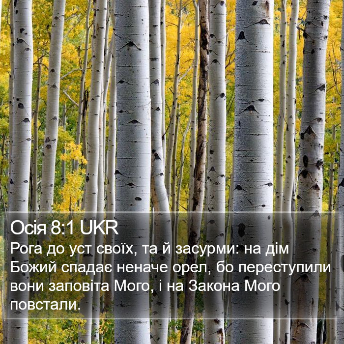 Осія 8:1 UKR Bible Study