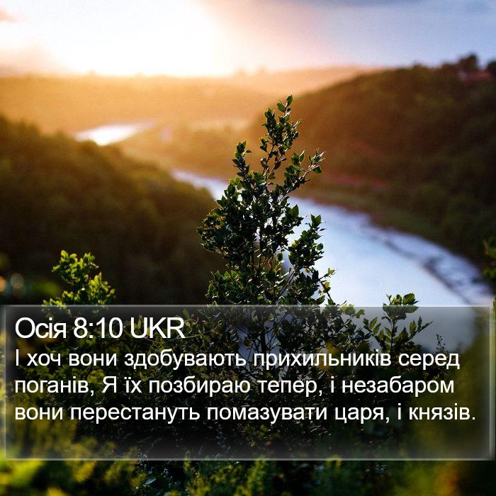 Осія 8:10 UKR Bible Study