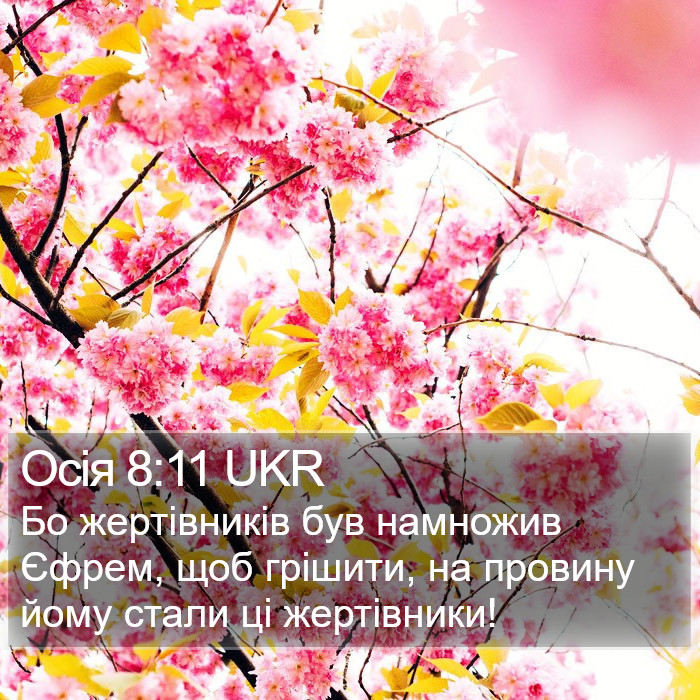 Осія 8:11 UKR Bible Study