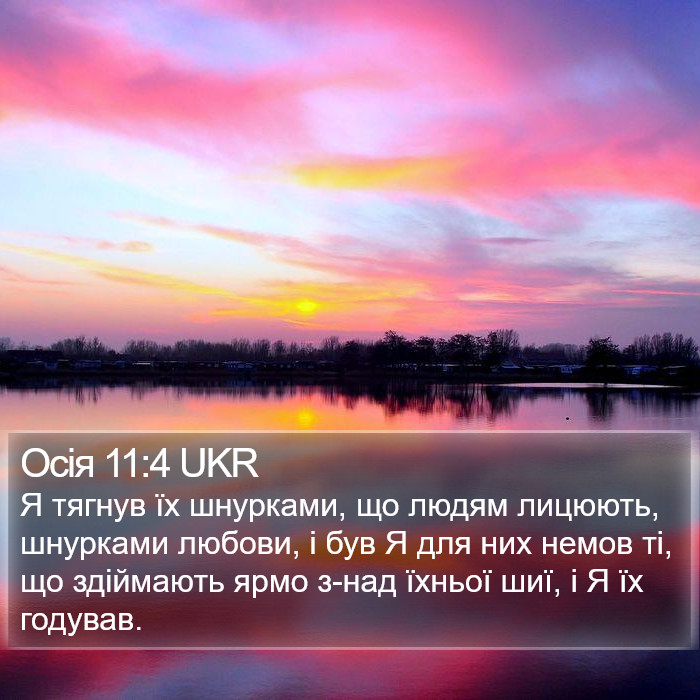 Осія 11:4 UKR Bible Study