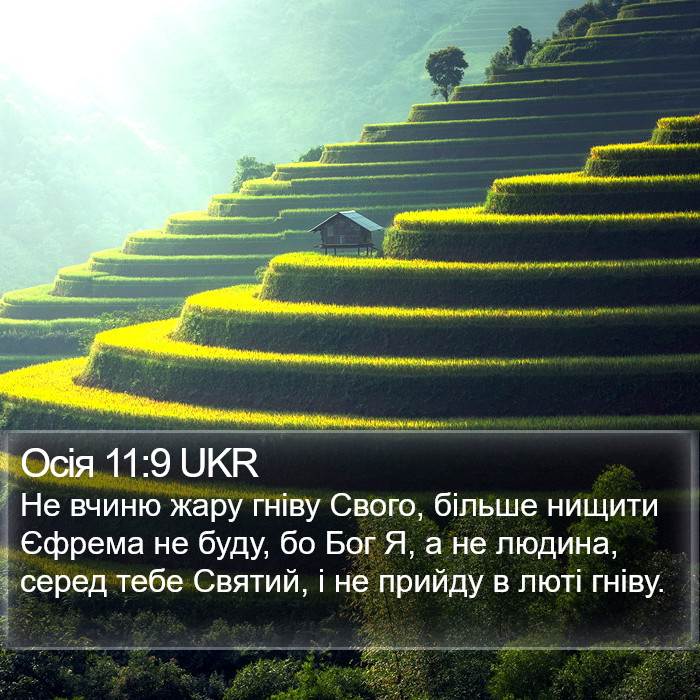 Осія 11:9 UKR Bible Study