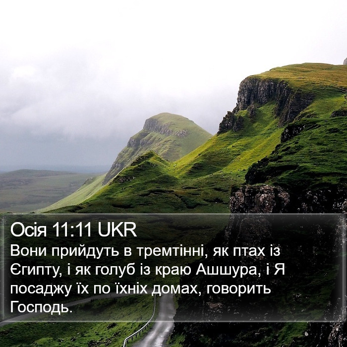 Осія 11:11 UKR Bible Study