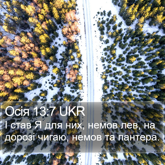 Осія 13:7 UKR Bible Study