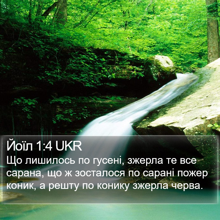 Йоїл 1:4 UKR Bible Study