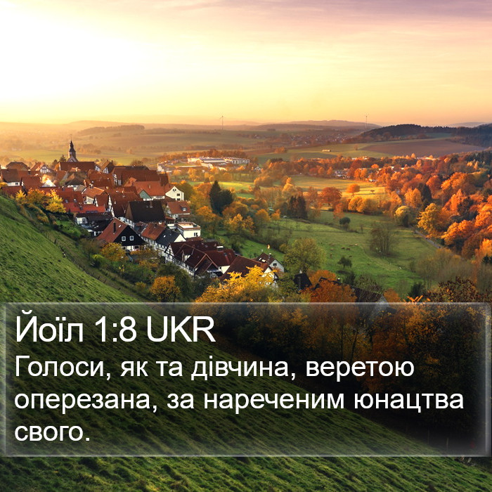 Йоїл 1:8 UKR Bible Study