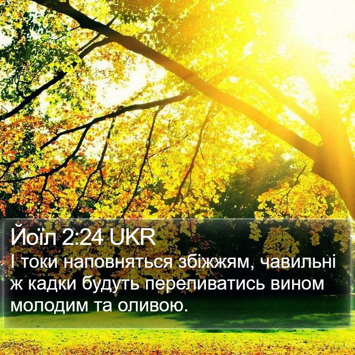 Йоїл 2:24 UKR Bible Study