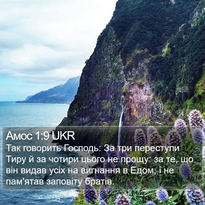 Амос 1:9 UKR Bible Study