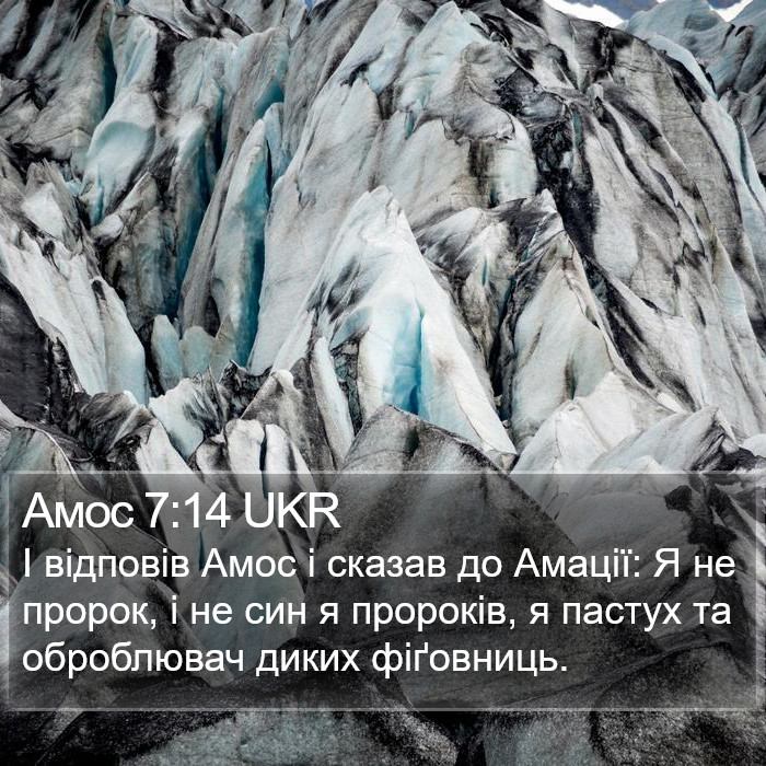 Амос 7:14 UKR Bible Study