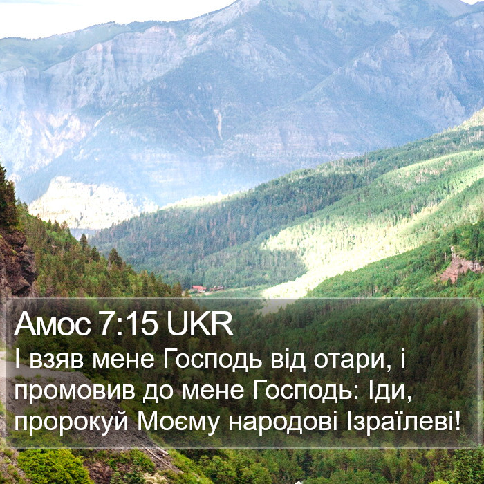 Амос 7:15 UKR Bible Study