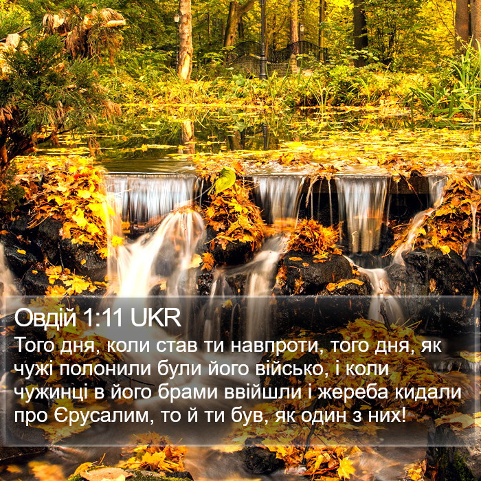 Овдій 1:11 UKR Bible Study