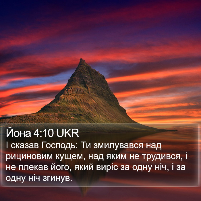 Йона 4:10 UKR Bible Study