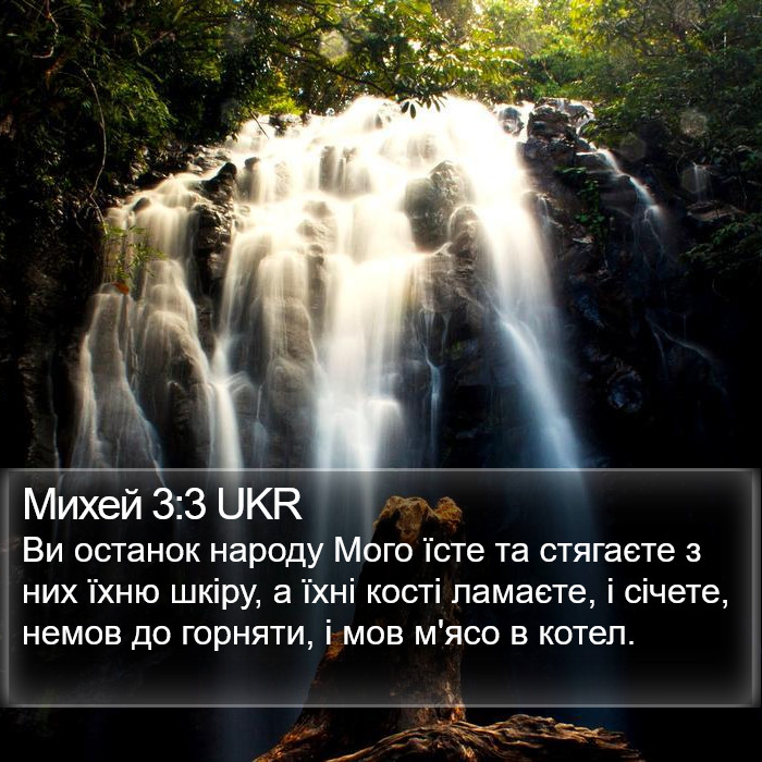 Михей 3:3 UKR Bible Study