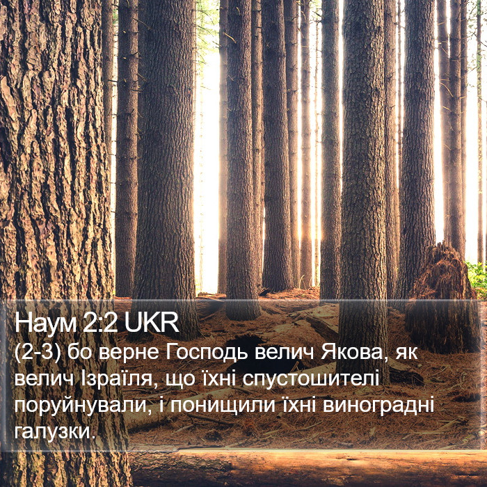 Наум 2:2 UKR Bible Study