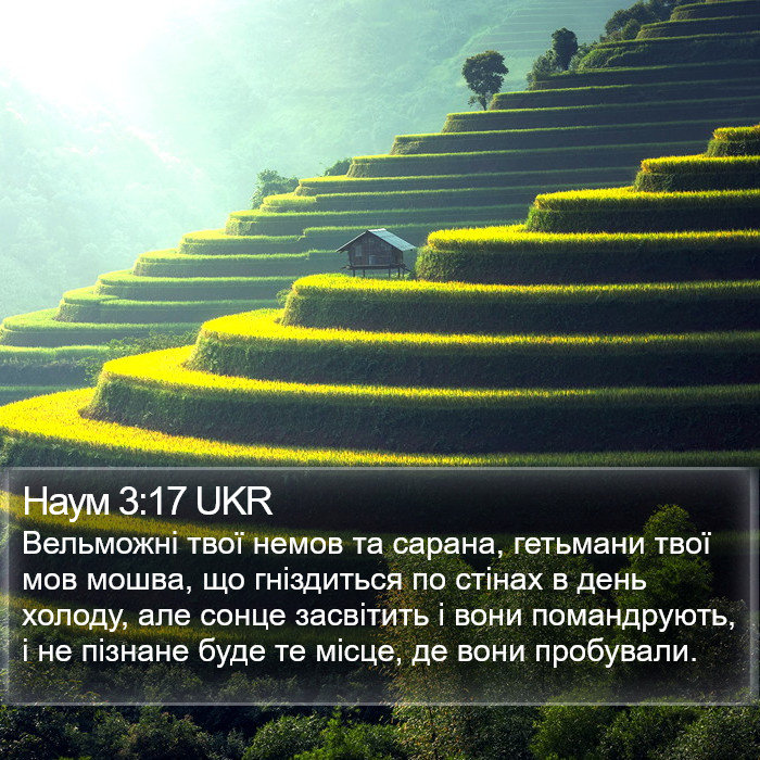 Наум 3:17 UKR Bible Study