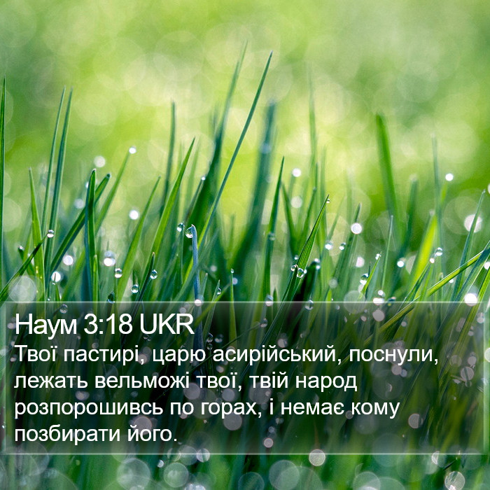Наум 3:18 UKR Bible Study