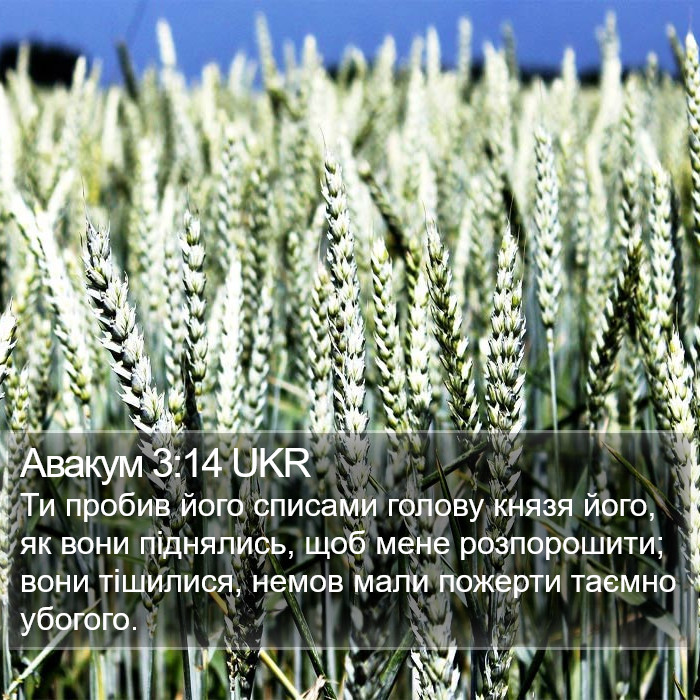 Авакум 3:14 UKR Bible Study