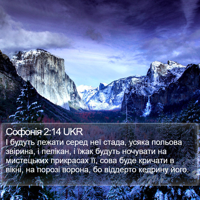 Софонія 2:14 UKR Bible Study