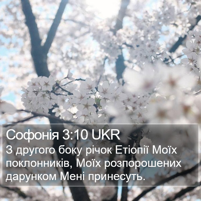 Софонія 3:10 UKR Bible Study