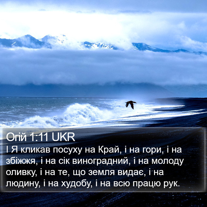 Огій 1:11 UKR Bible Study