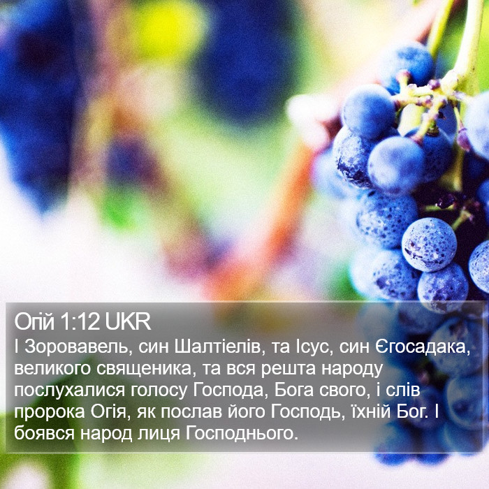 Огій 1:12 UKR Bible Study