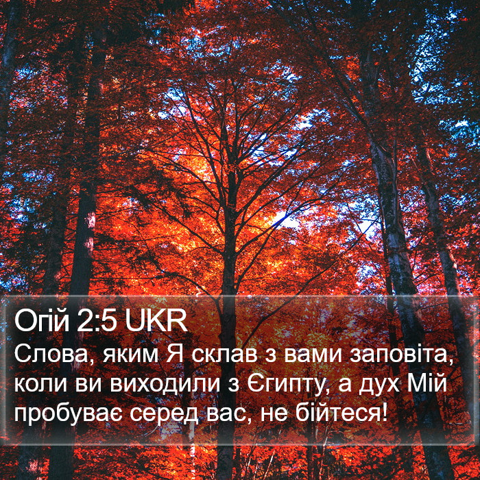 Огій 2:5 UKR Bible Study