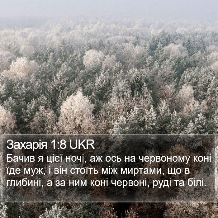 Захарія 1:8 UKR Bible Study