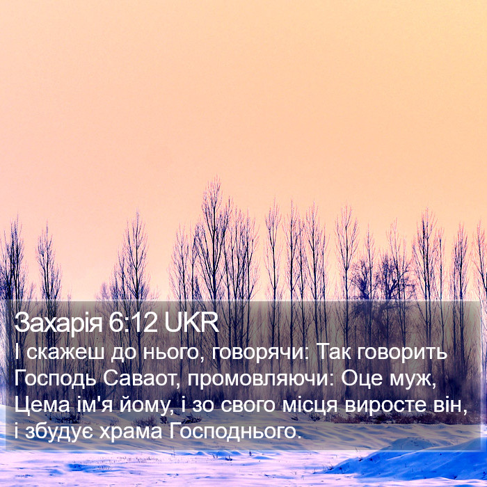 Захарія 6:12 UKR Bible Study