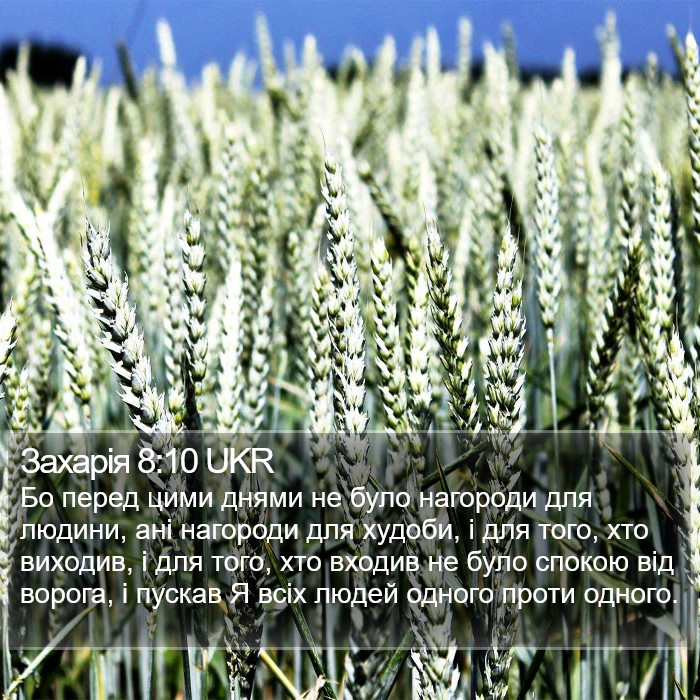 Захарія 8:10 UKR Bible Study